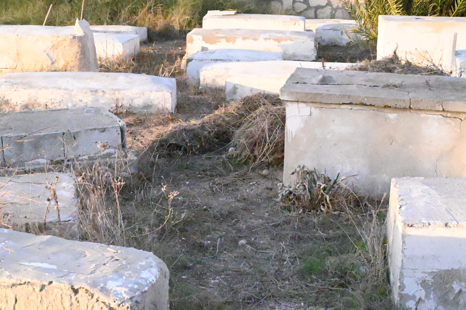 WhatsApp Image 2022-11-24 at 11.41.37 AM (1).jpeg